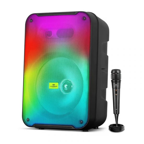 Parlante Eversound Flaming 12 Pulgadas EV 3001 - Negro
